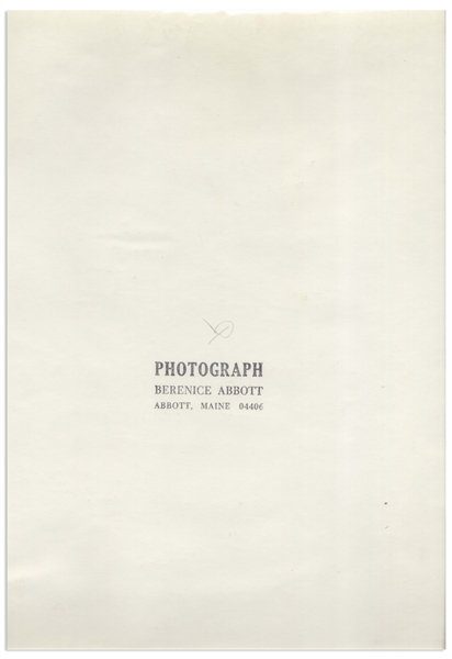 Berenice Abbott 15.25'' x 19'' Photograph of ''Leaf, Supersight''